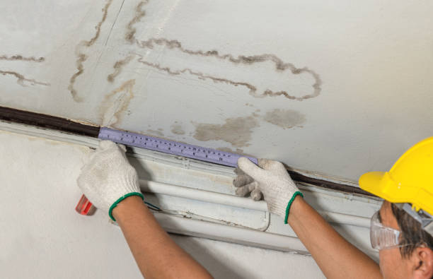 Reliable Burst Pipe Cleanup contractor in College Park, MD by Water Damage Irwin